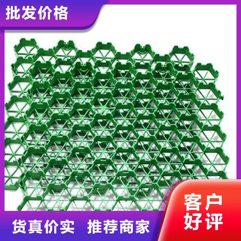 植草格廠家供應