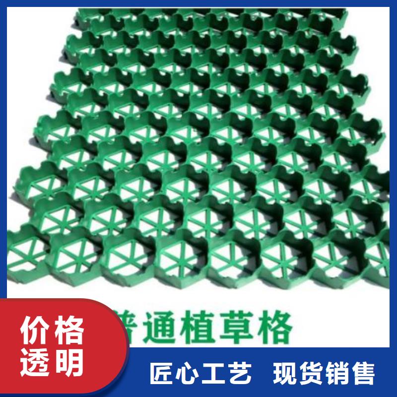植草格水泥化粪池工厂直营