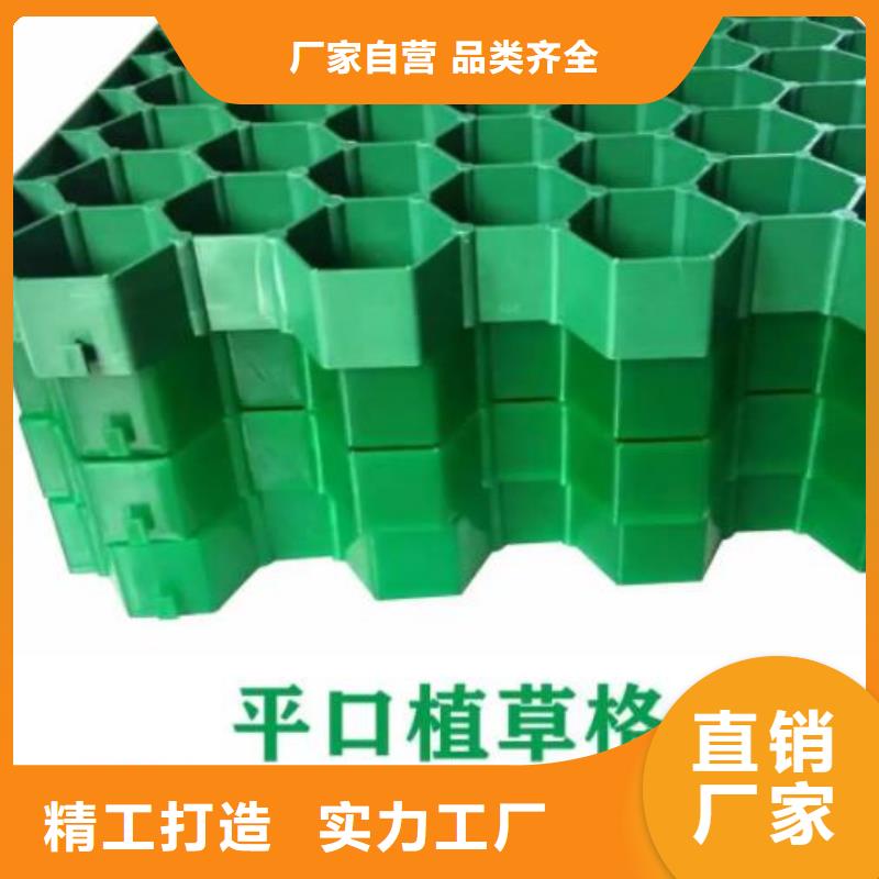 植草格【防護虹吸排水收集系統】為您提供一站式采購服務