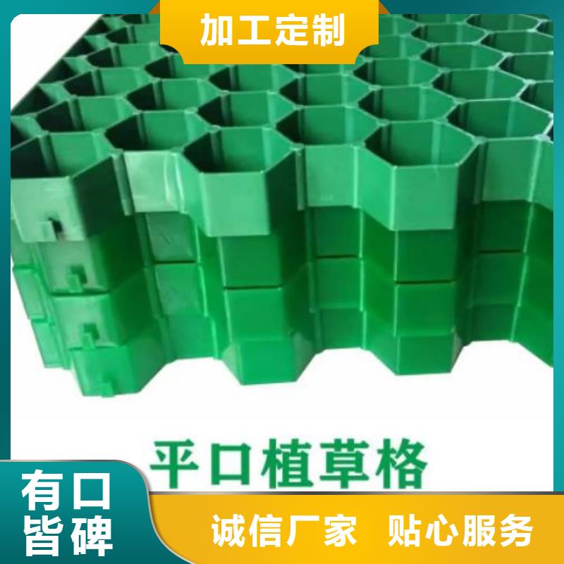植草格水泥化糞池實力優品