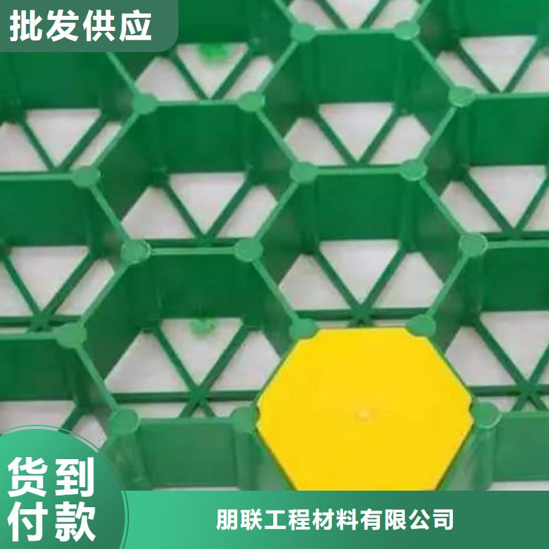 塑料植草格實體廠家