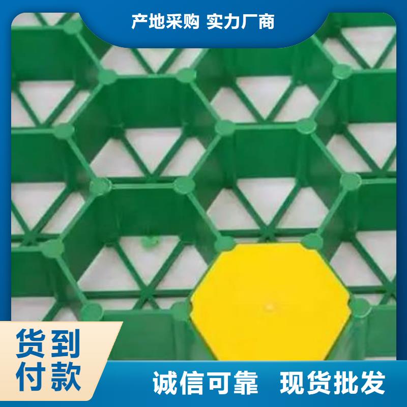 植草格廠家價格多少