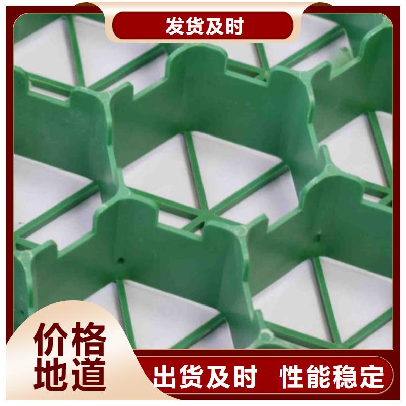 塑料植草格-本地工廠