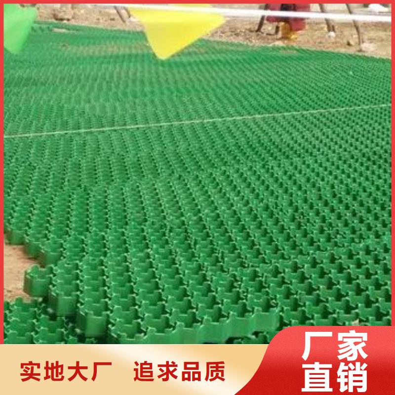 植草格,植草格廠家新品