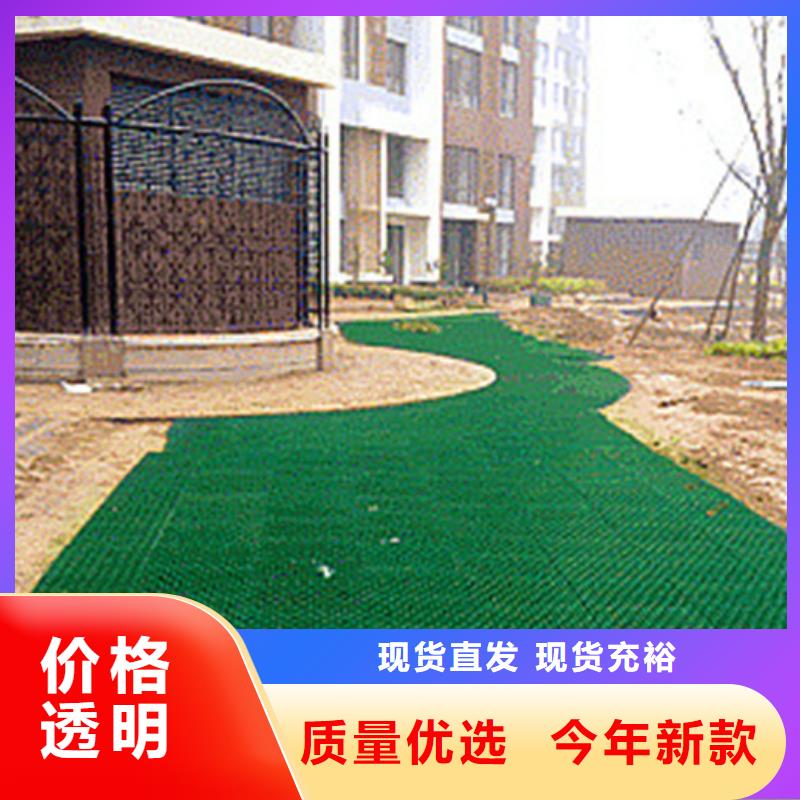 植草格廠家代理商