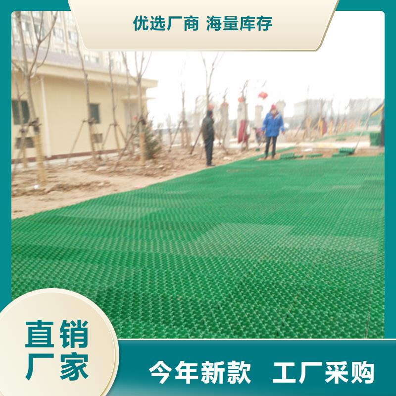 塑料植草格2025新行情價