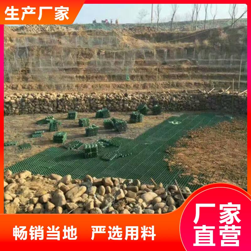 塑料植草格-停車場植草格廠家店