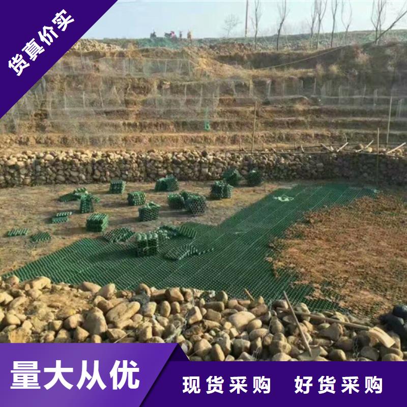 植草格植草格質量好