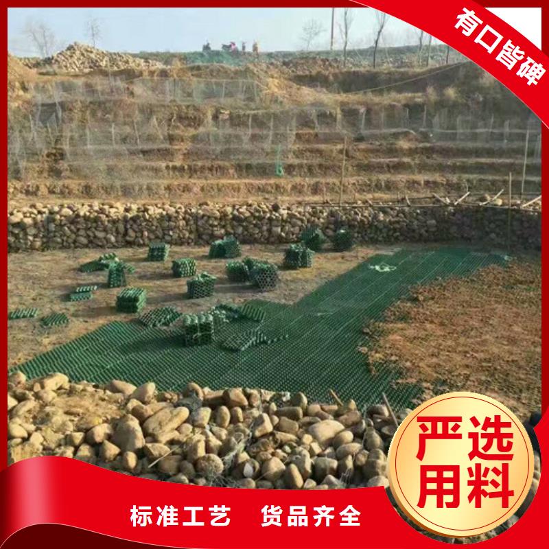 植草格植草格快速物流發貨