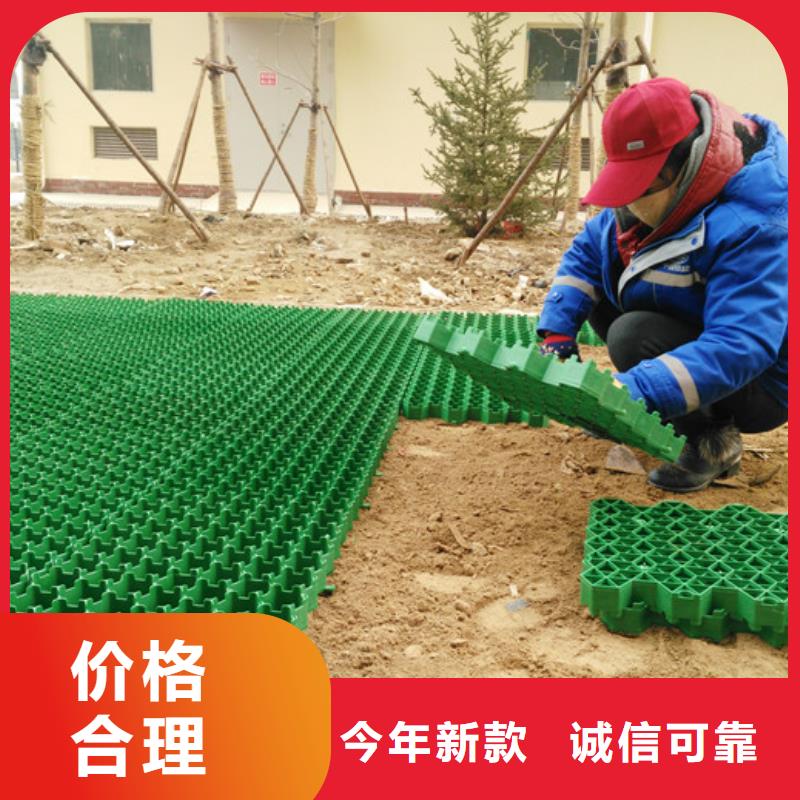 植草格水泥化粪池产地直供