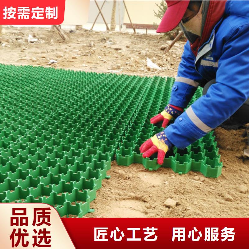 【植草格】,防護虹吸排水收集系統廠家直營