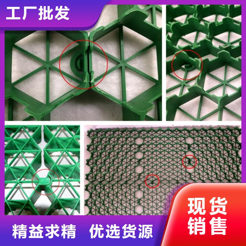 停車場植草格實業集團