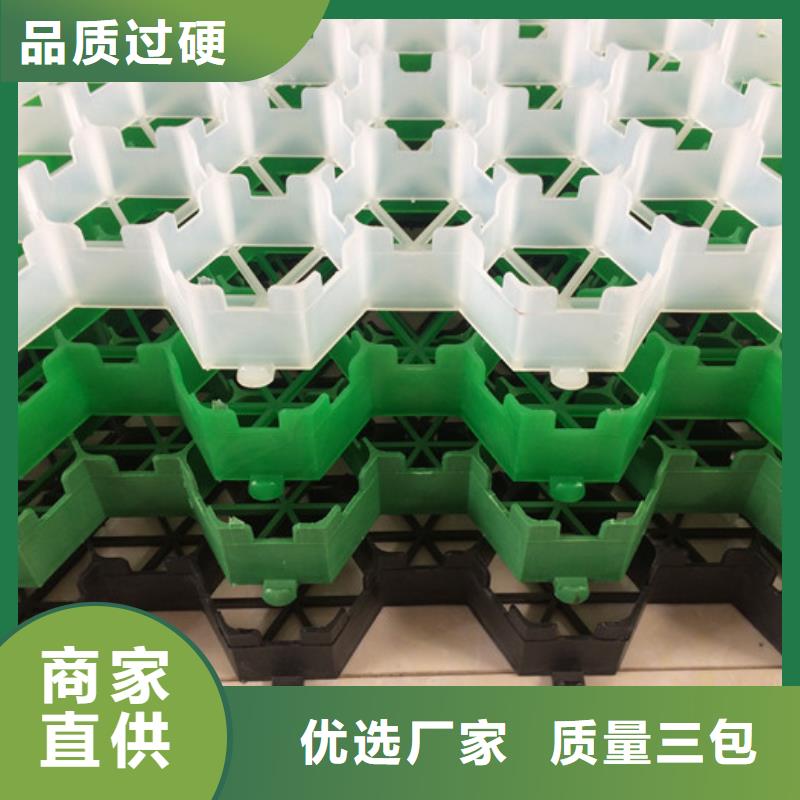 植草格植草格優(yōu)選貨源