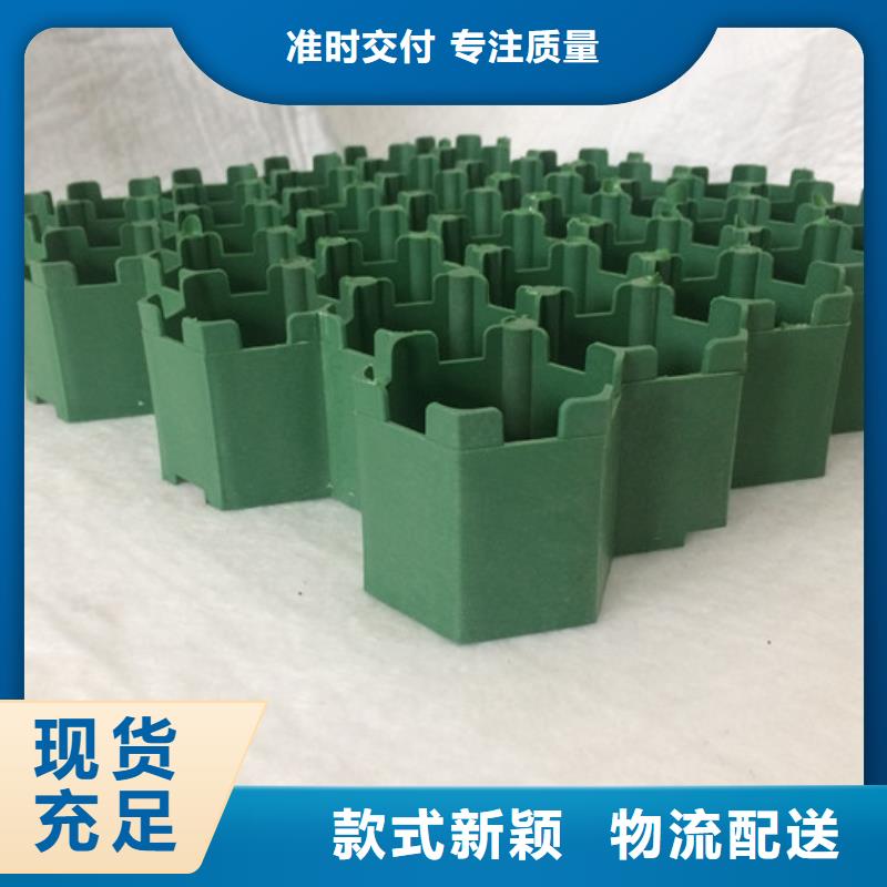 塑料植草格2025新行情價