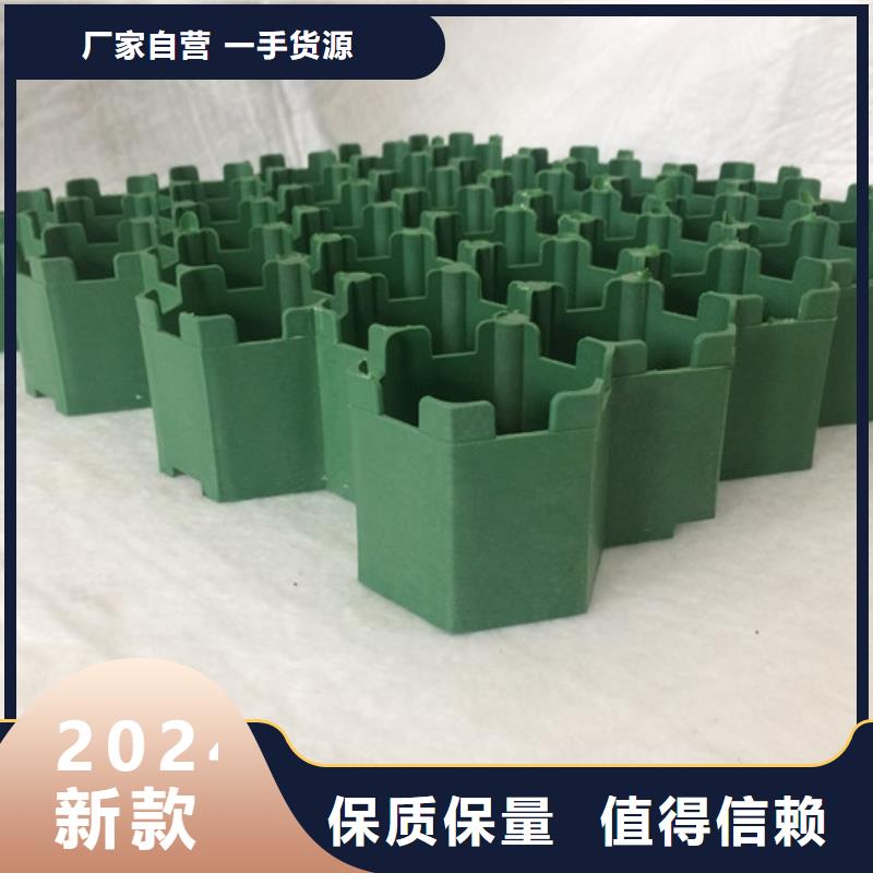 植草格植草格實力商家供貨穩(wěn)定