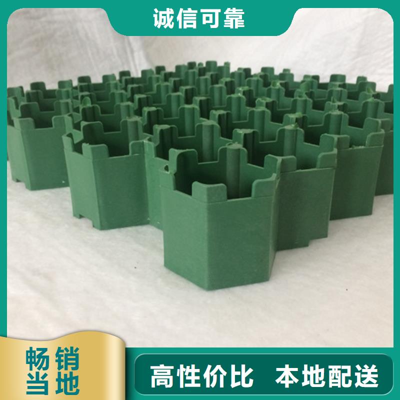 塑料植草格2025新行情價