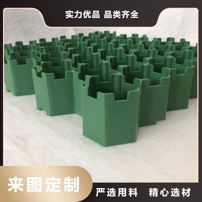 植草格防護虹吸排水收集系統源頭采購