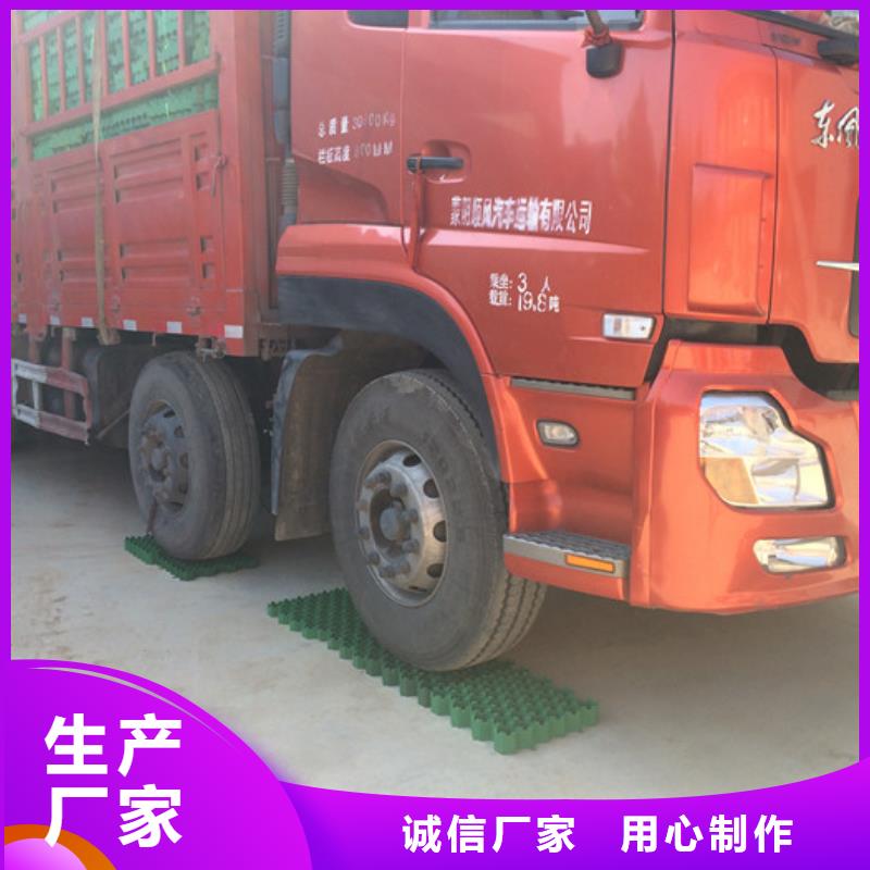 塑料植草格2025新行情價