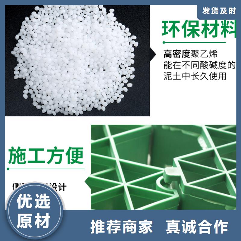 植草格水泥化粪池工厂直营