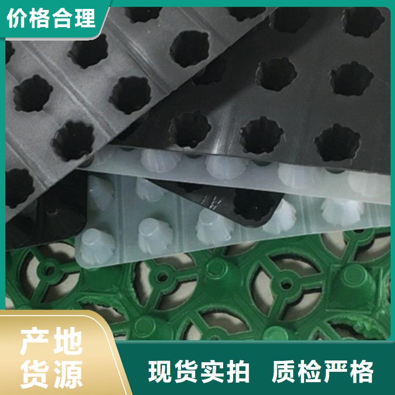 塑料排水板放心購(gòu)買(mǎi)