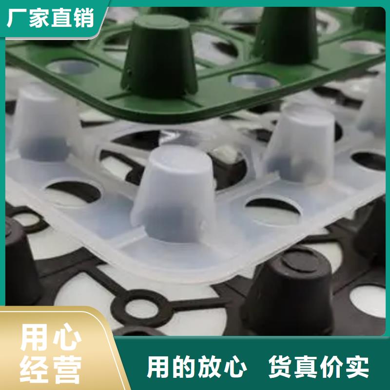 塑料排水板放心購(gòu)買(mǎi)