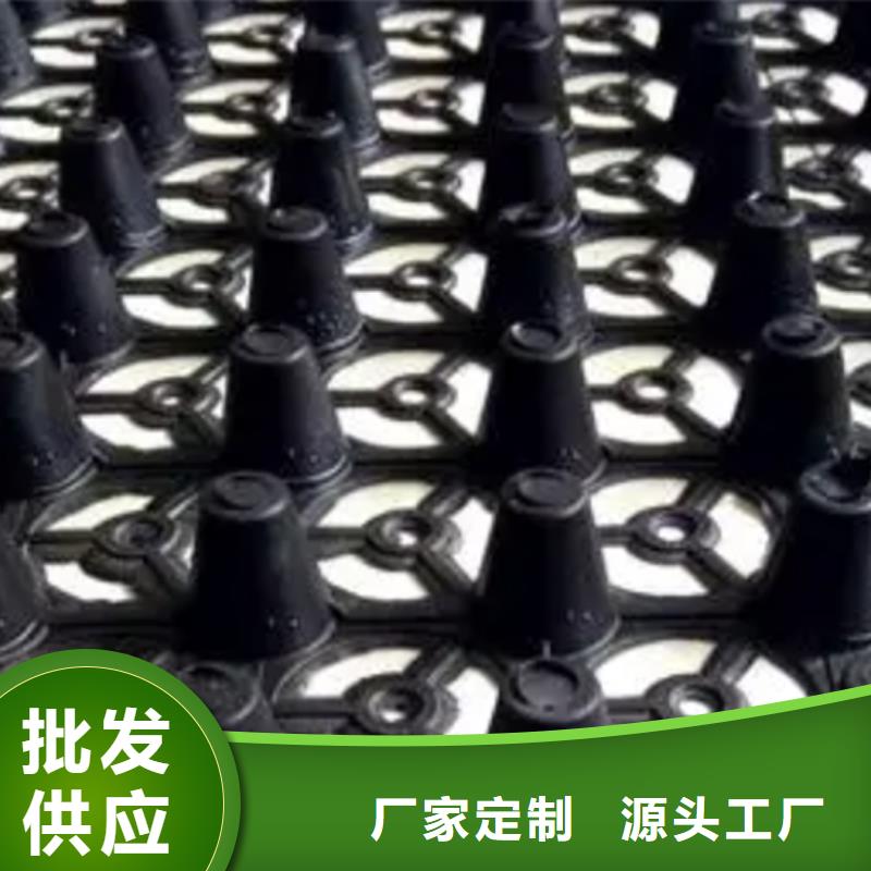 塑料排水板放心購(gòu)買(mǎi)