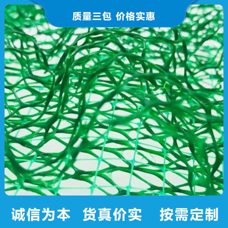 【三維植被網植草格產品細節】