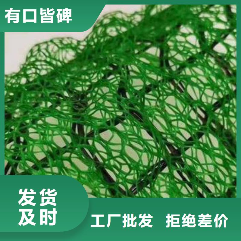 護坡土工網本地工廠直營