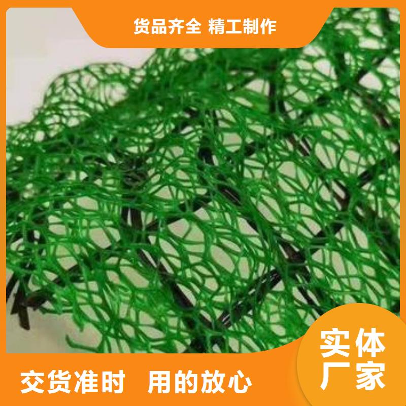 三維植被網邊坡復綠