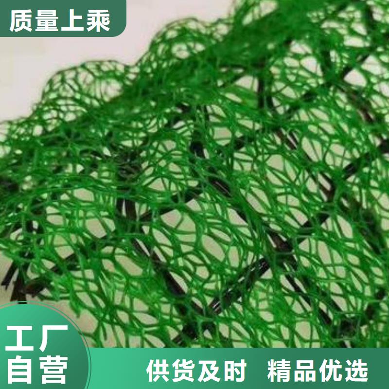 三維植被網(wǎng)化糞池水泥精工制作