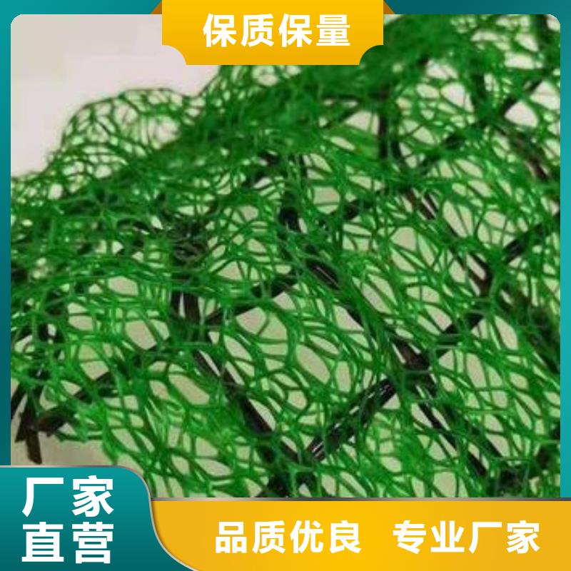 三维植被网水泥化粪池厂家案例