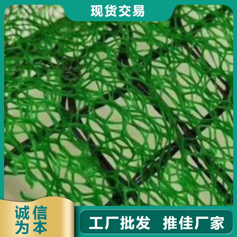 三維植被網防護虹吸排水收集系統通過檢測