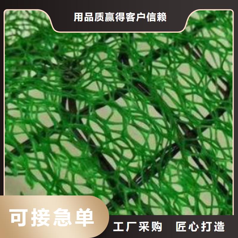 三維植被網供應商