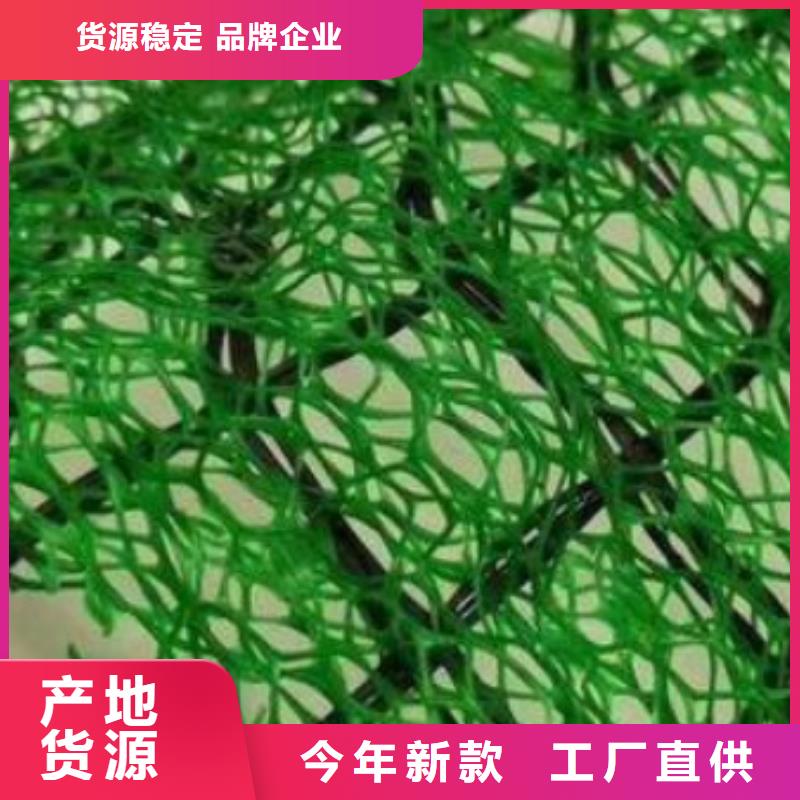 三維植被網(wǎng)排水板今日價格