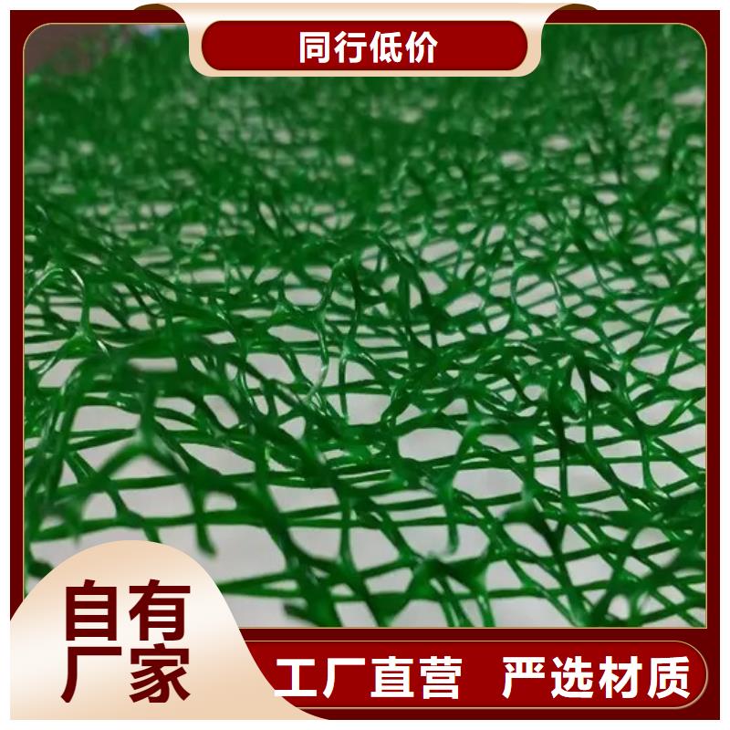 三維植被網水泥化糞池常年出售