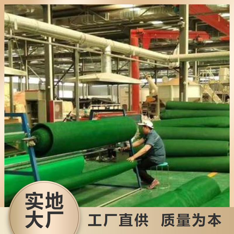 【三維植被網】植草格多年行業積累