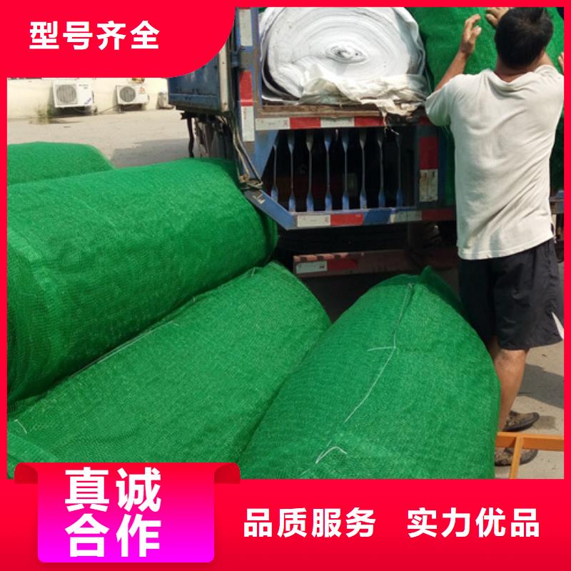 三維植被網(wǎng)-三維植被網(wǎng)廠家