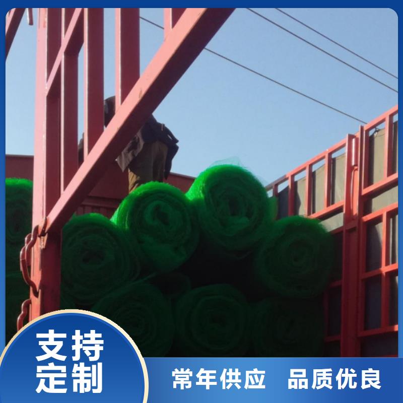 三維植被網供應商