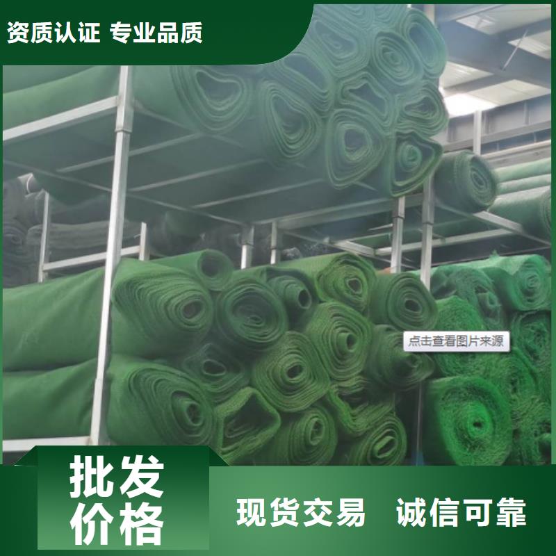 【三維植被網水泥化糞池追求品質】