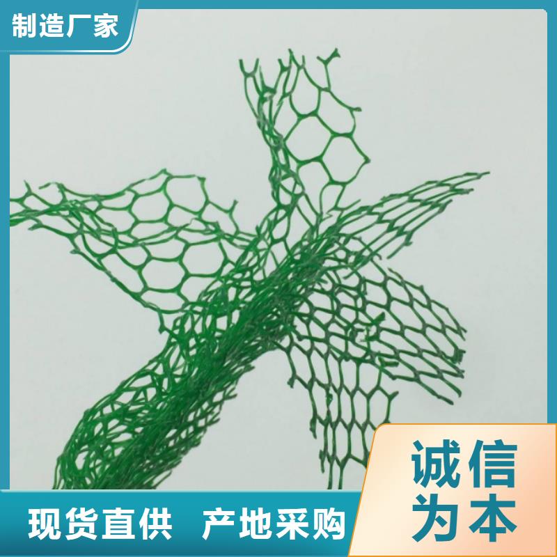 三維植被網植草格國標檢測放心購買