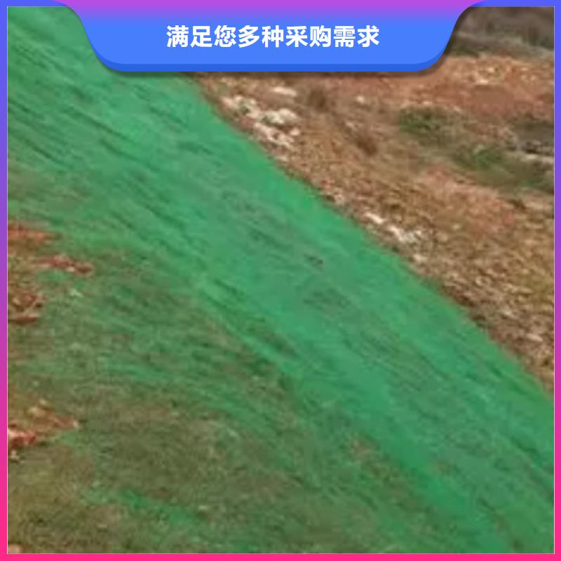 三維土工網墊工廠價