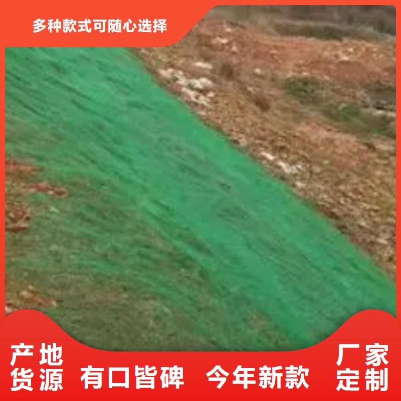 護坡土工網價格多少