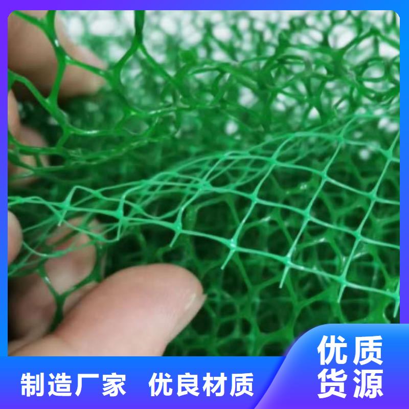 三維植被網(wǎng)邊坡復(fù)綠