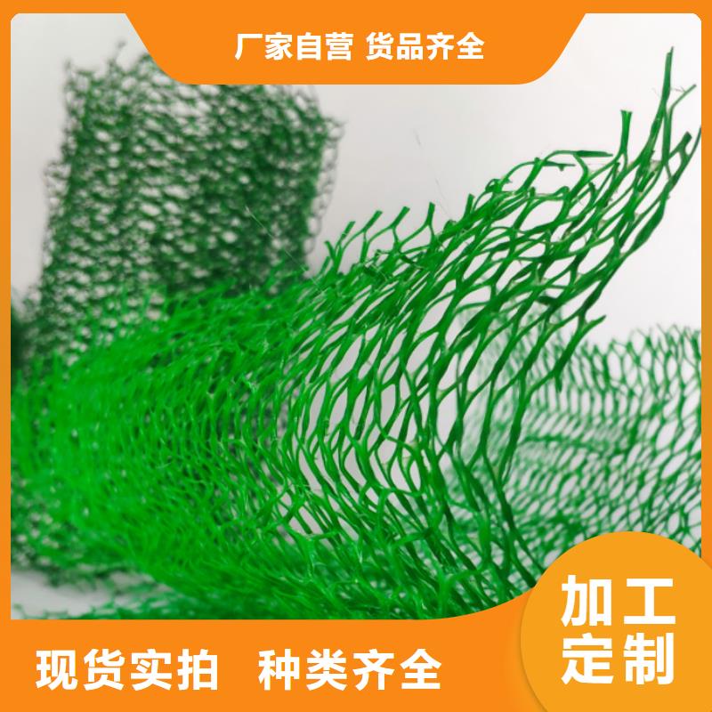 三維植被網【車庫虹吸排水系統】實地大廠