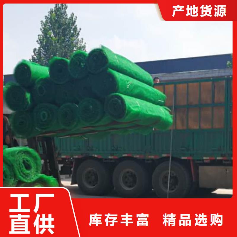 三維植被網防護虹吸排水收集系統品牌大廠家