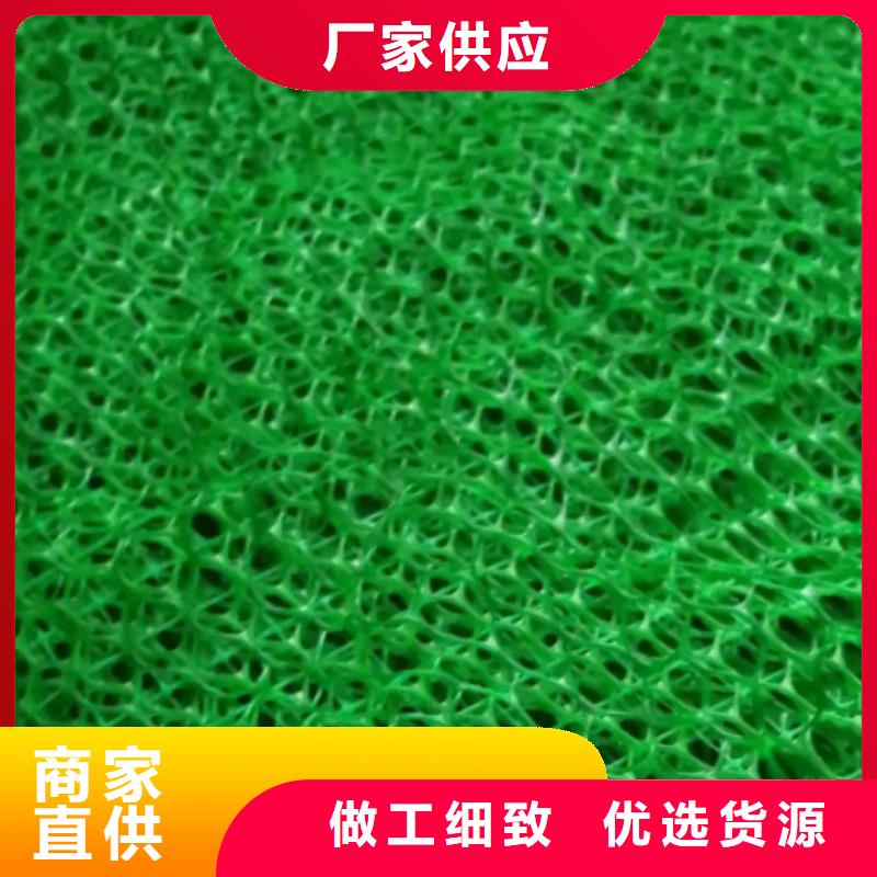 三维植被网_【防护虹吸排水收集系统】工厂自营当地品牌