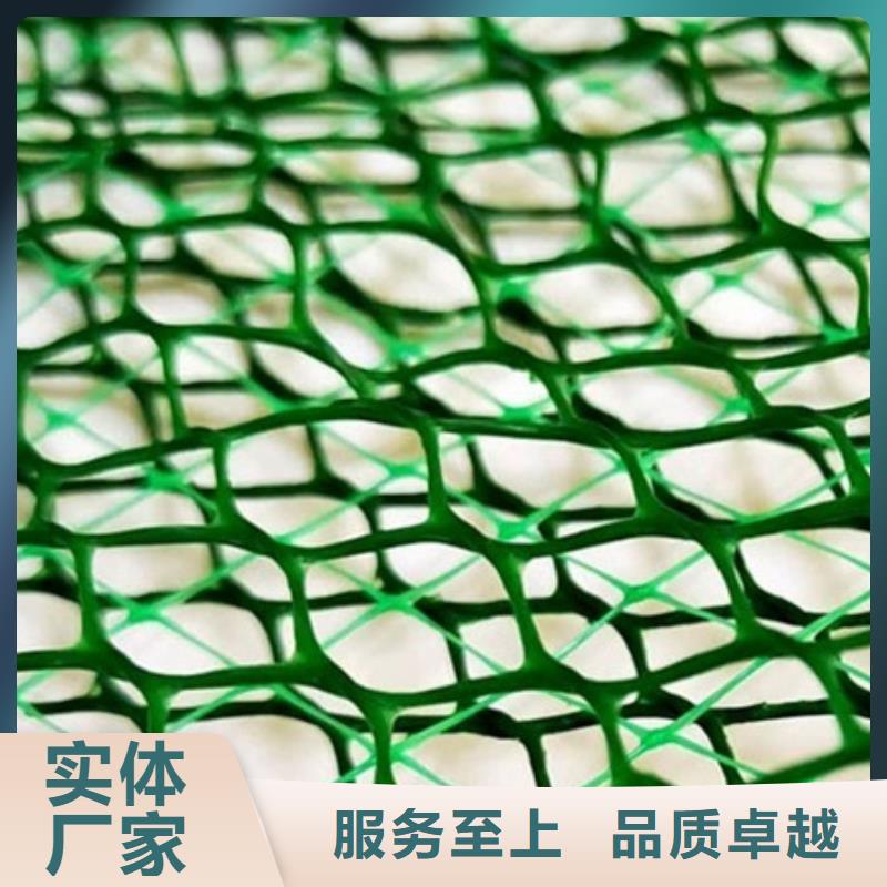 三維植被網(wǎng)-三維植被網(wǎng)廠家