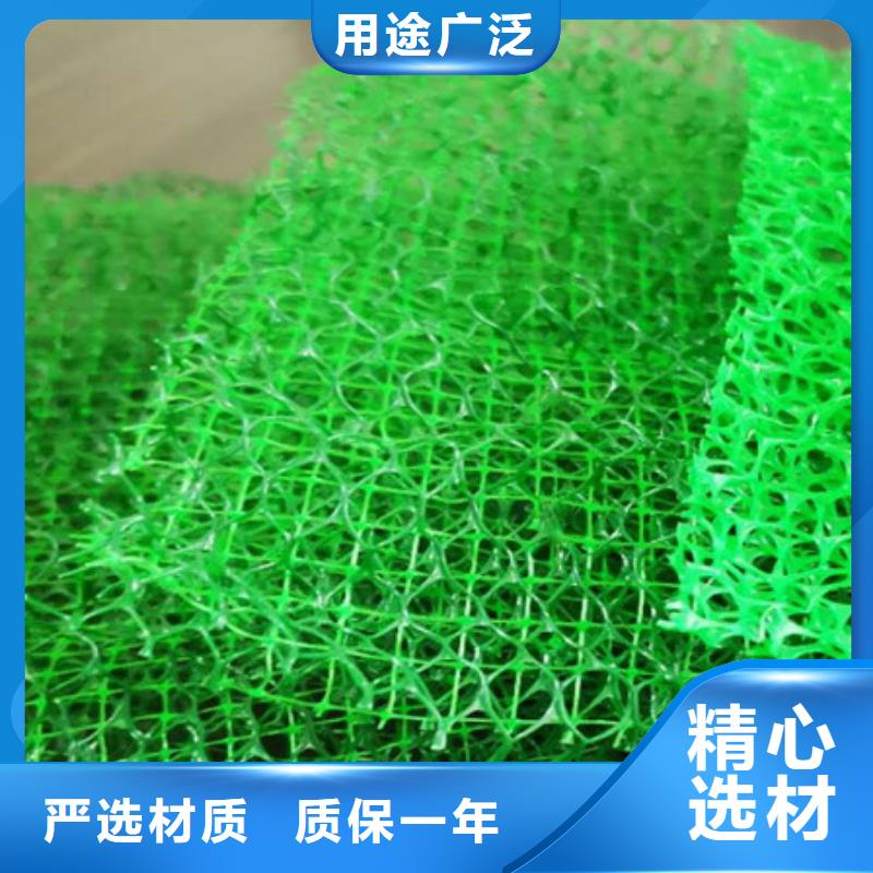 三維土工網(wǎng)墊廠家供應(yīng)邊坡復(fù)綠