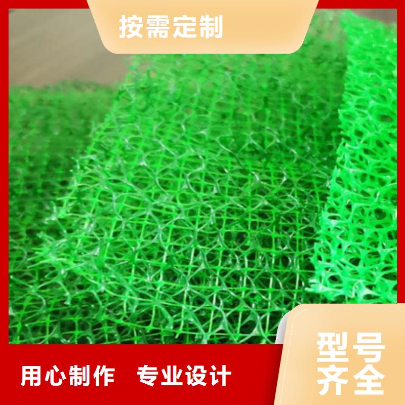 三維植被網(wǎng)化糞池水泥精工制作