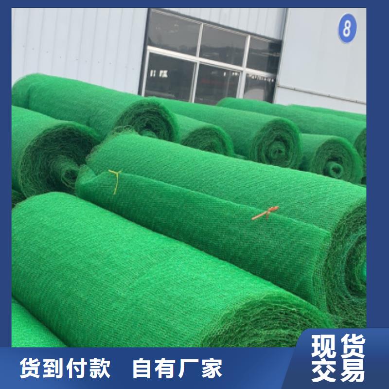 【三維植被網】水泥化糞池精品選購